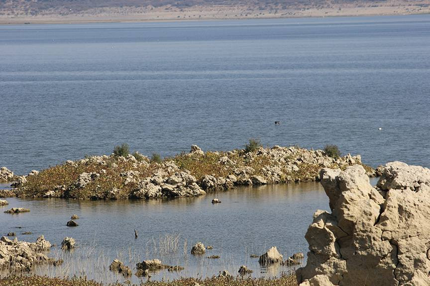 16 bin yıl önce püskürdü Demirköprü Barajı’nın suyu çekilince göründü. Kara olan rengi beyaza döndü - Resim: 25